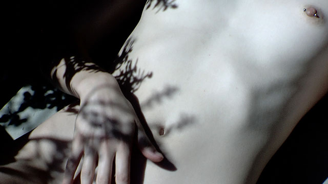 plants naked body Detail von Nikis nacktem Körper im Sonnenlicht. Schatten einer Pflanze zieren ihren zarten schlanken Körper, über den sie mit einer Hand fährt. Ein silbernes Piercing ziert den Nippel ihrer kleinen Brust.